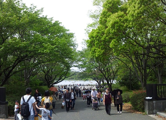 b0199924_1510104.jpg