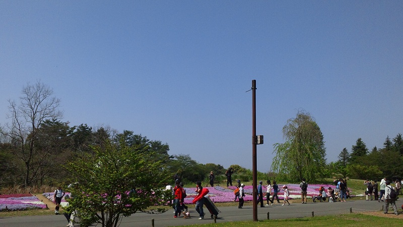 b0199924_15102341.jpg