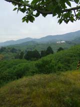 c0188928_15532511.jpg