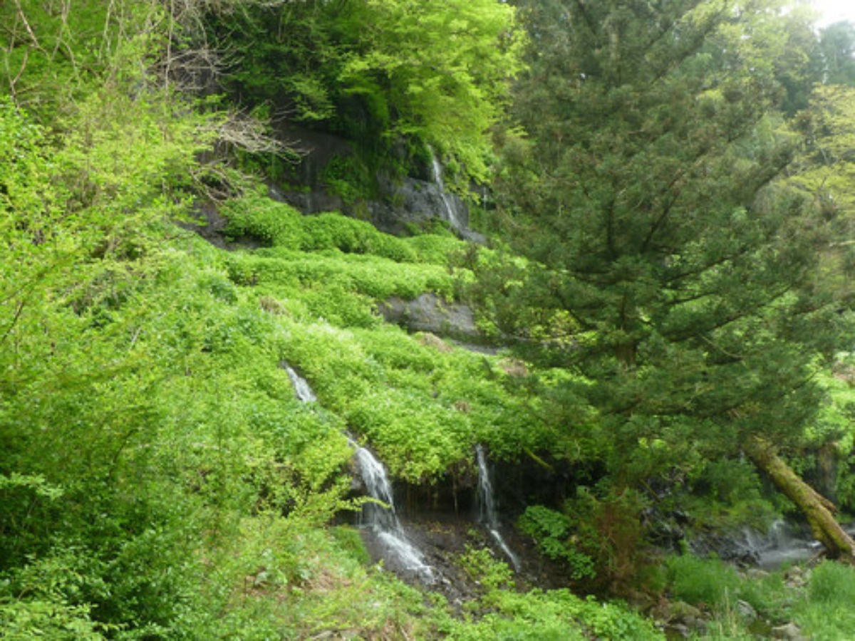 e0033229_21103173.jpg