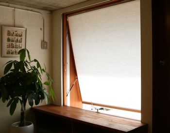 a0244631_0193616.jpg