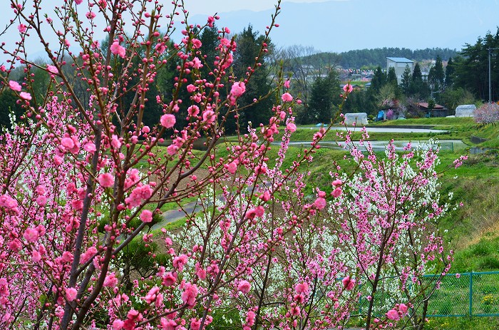 b0236334_17133822.jpg