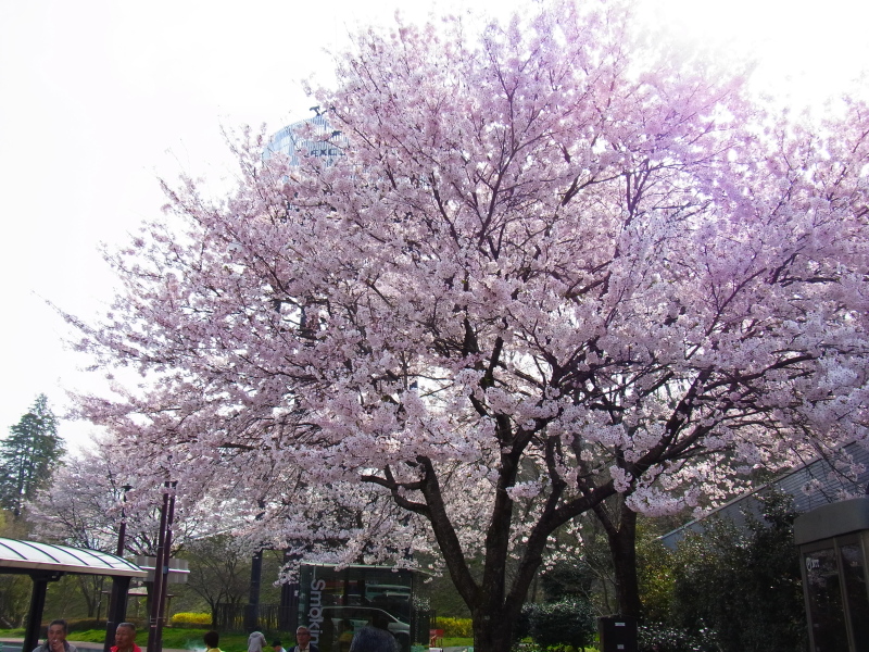 b0190242_14511122.jpg