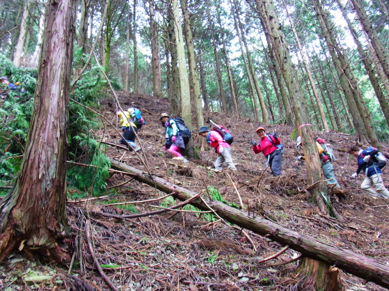 b0190242_14545628.jpg