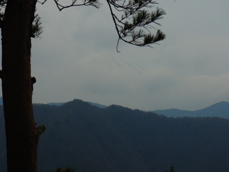 b0190242_1502256.jpg