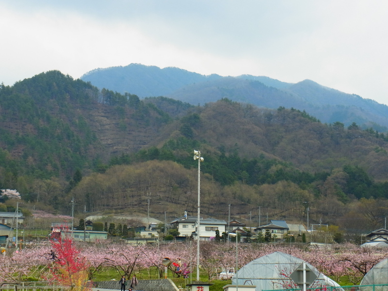 b0190242_15215194.jpg