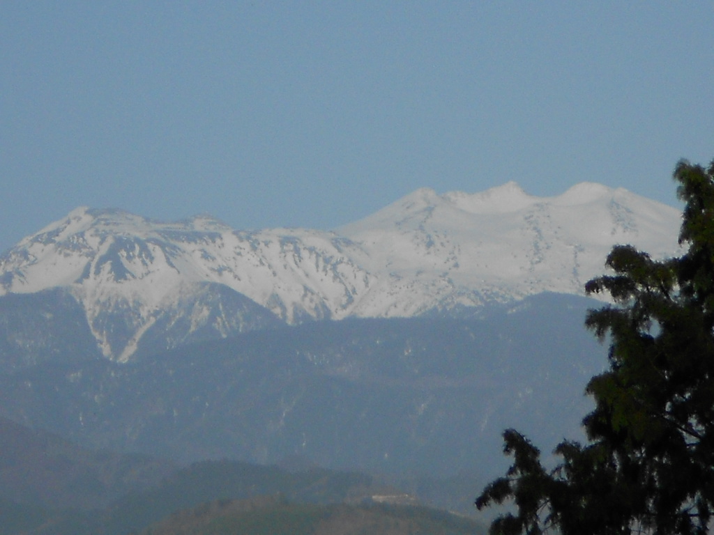 d0038545_1946566.jpg