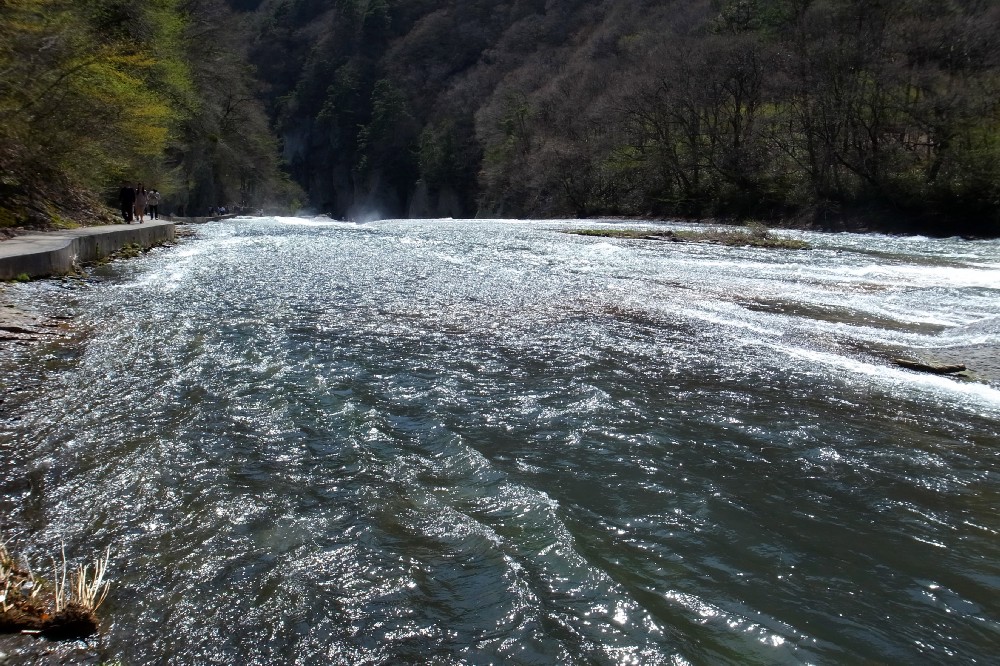 e0009147_8501030.jpg