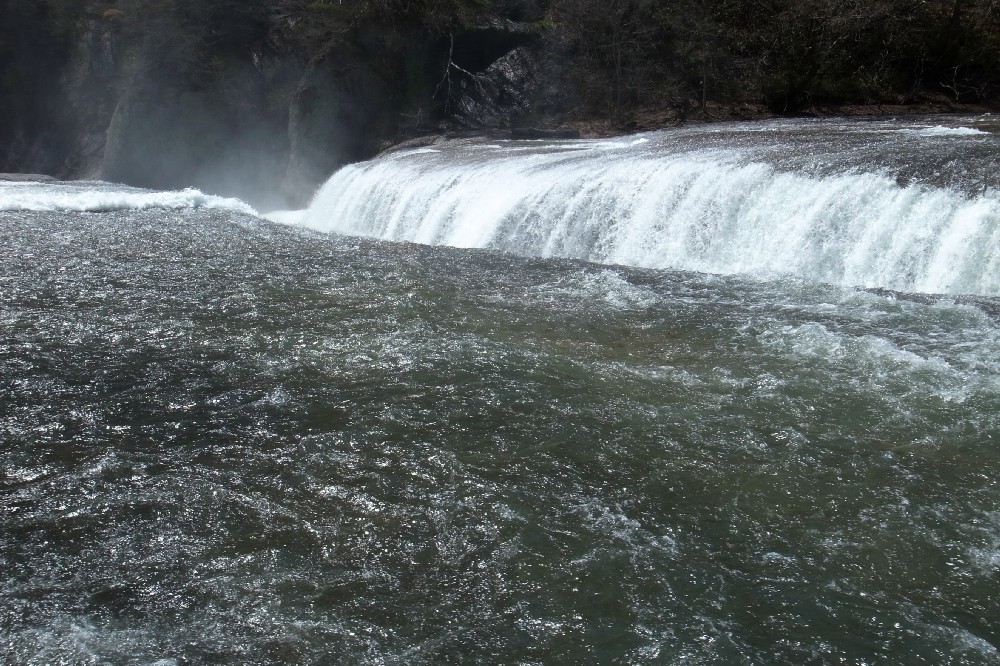 e0009147_8504675.jpg