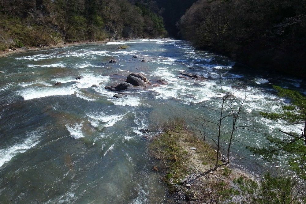 e0009147_915086.jpg