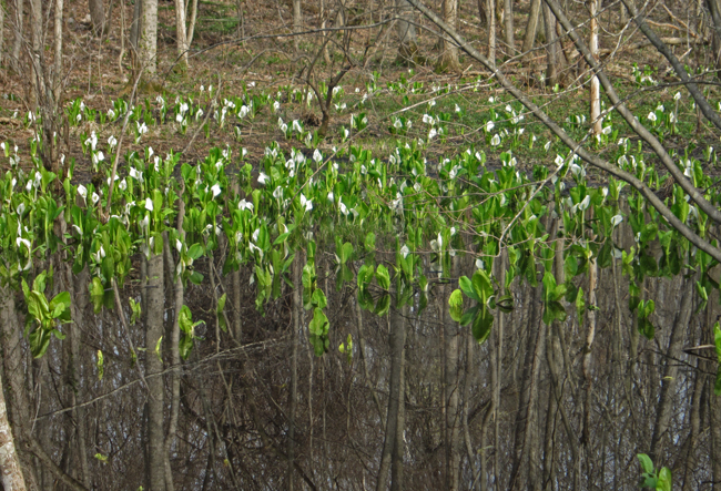 c0147548_1813267.jpg