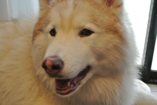 e0121548_21402941.jpg