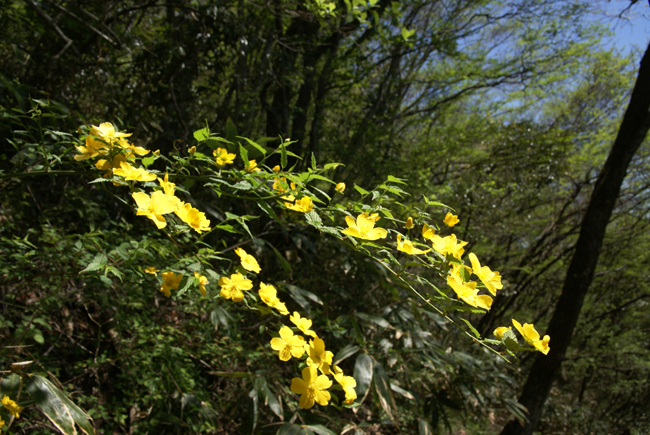 f0214649_659342.jpg