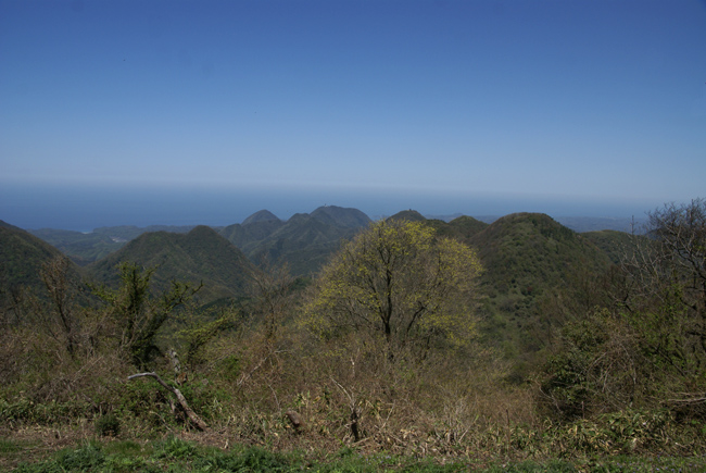 f0214649_76920.jpg