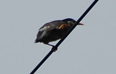 c0108460_14525756.jpg
