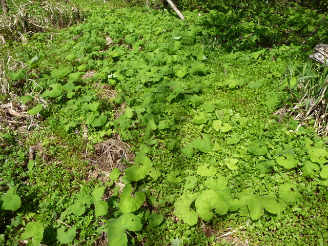 f0208760_11144496.jpg