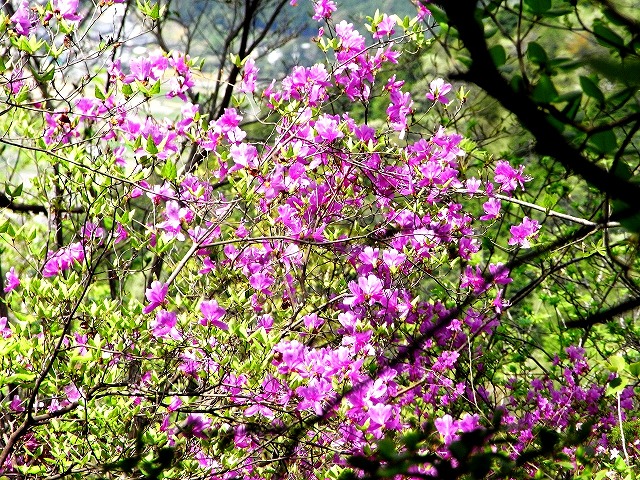 b0044663_21504357.jpg
