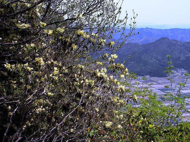 b0044663_21541590.jpg