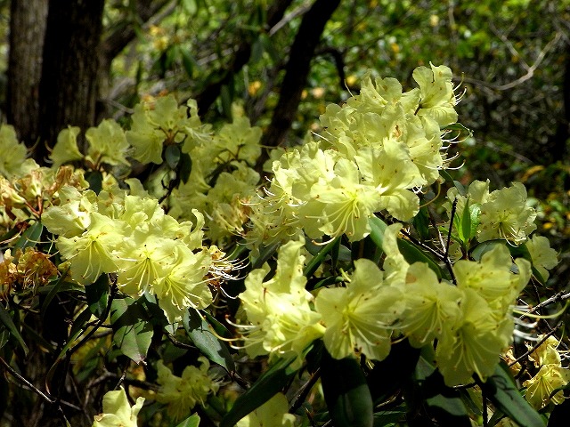 b0044663_21552934.jpg