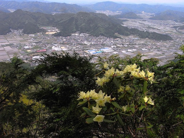 b0044663_21575076.jpg