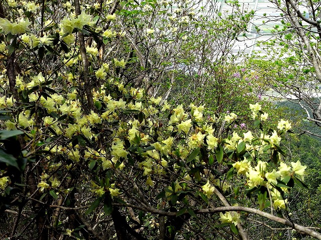 b0044663_2158263.jpg