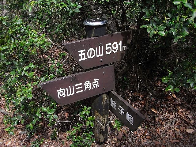 b0044663_2159020.jpg