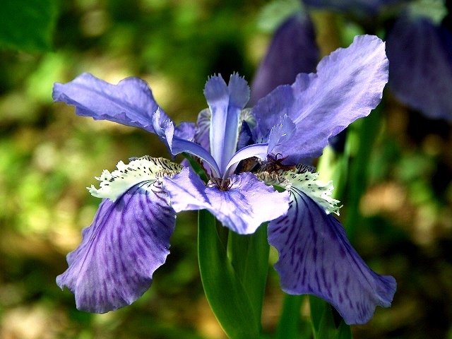 b0044663_22151490.jpg