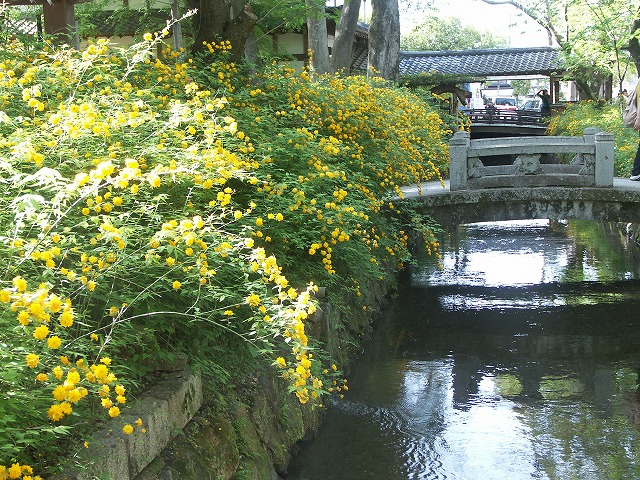 b0044663_2216274.jpg
