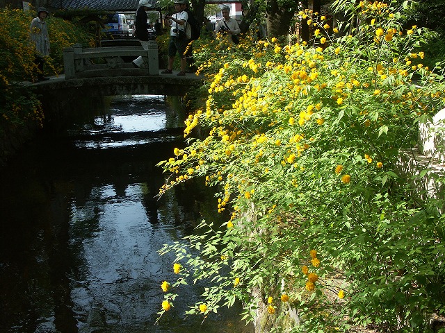 b0044663_22171547.jpg