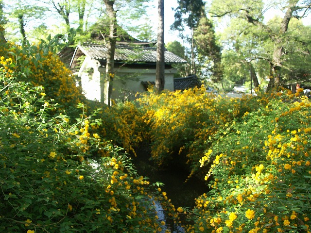 b0044663_22193482.jpg
