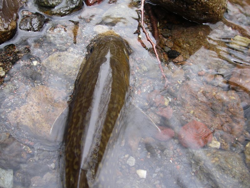 c0214764_202152.jpg