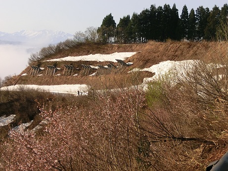 b0178466_16442244.jpg