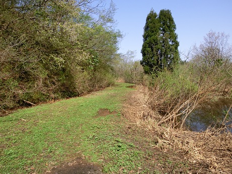 b0178466_16452795.jpg