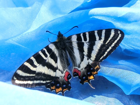 b0178466_1646090.jpg