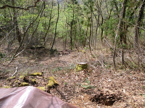 b0178466_16472455.jpg