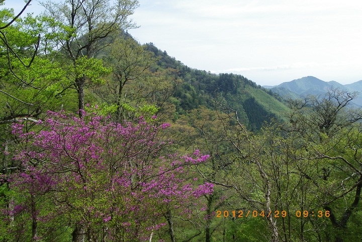 f0016066_15132968.jpg