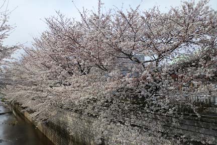 a0121671_183398.jpg