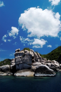 c0039073_226317.jpg