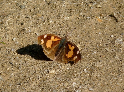 d0084473_20133874.jpg