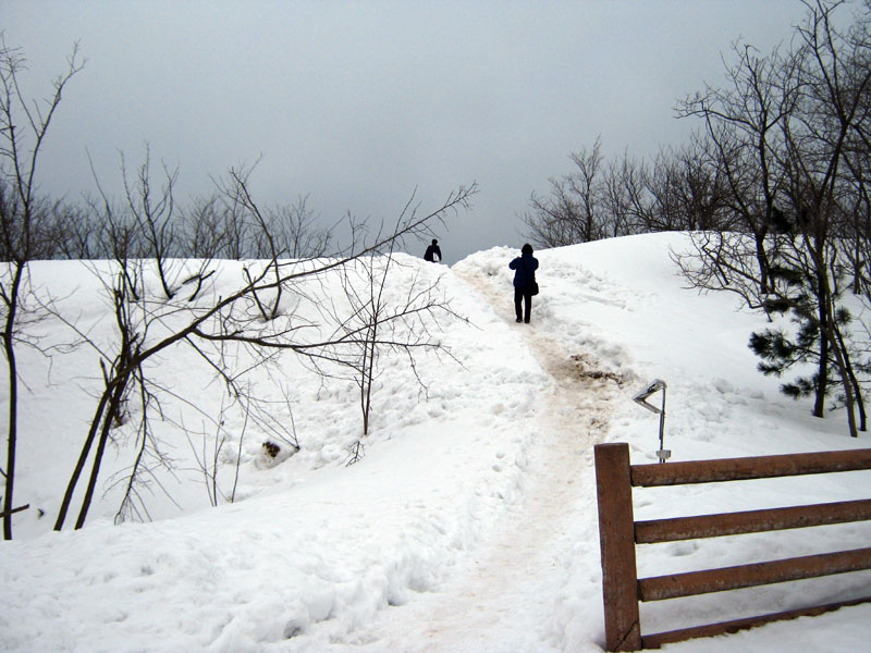 c0060076_0265427.jpg