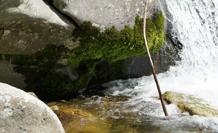 c0197578_1582277.jpg