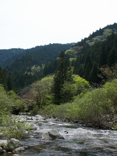 c0197578_261179.jpg