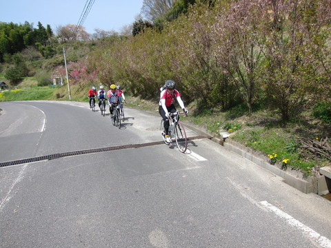 e0167780_1645597.jpg