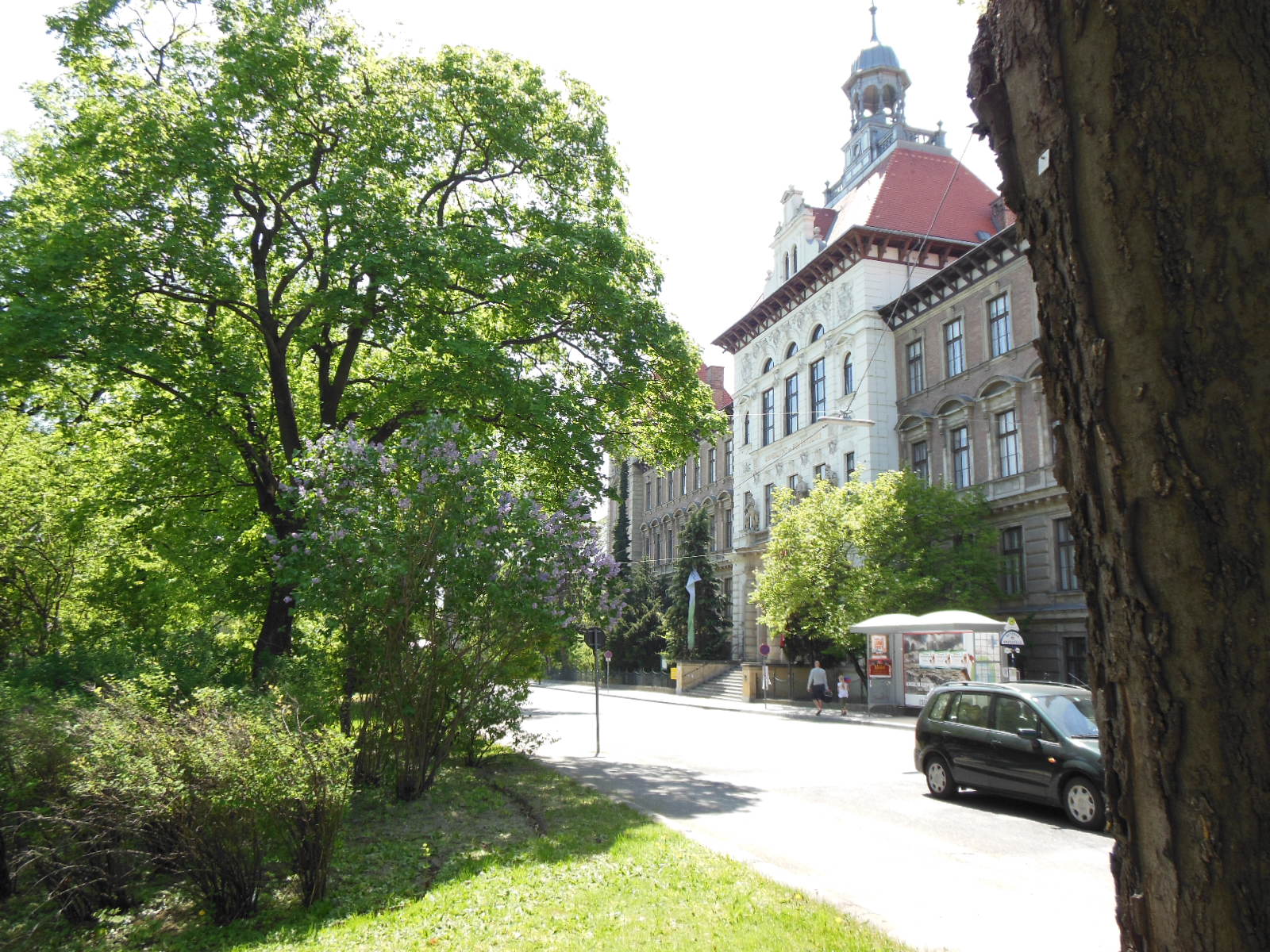 a0080183_2493017.jpg