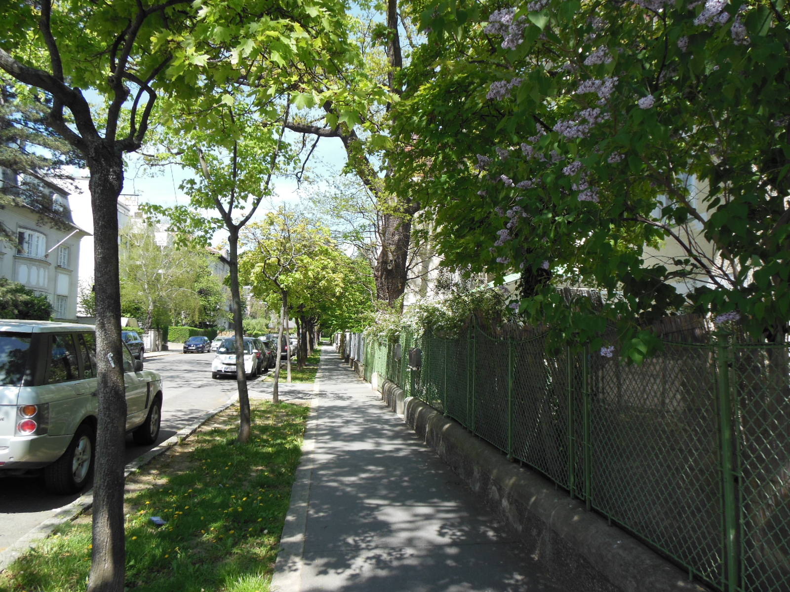 a0080183_2544772.jpg