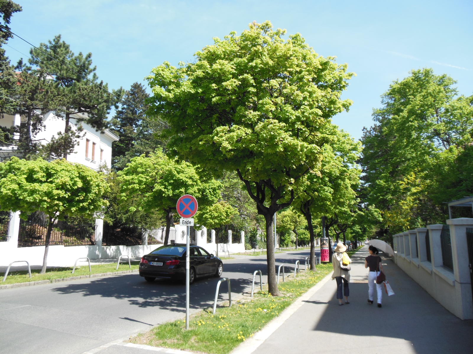 a0080183_257667.jpg