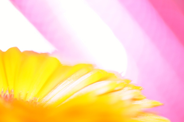 c0203584_22584846.jpg