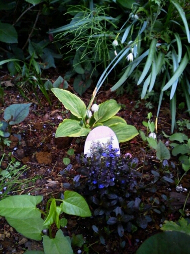 c0214384_025259.jpg