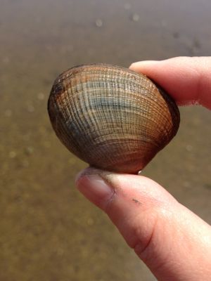 c0234987_6294153.jpg