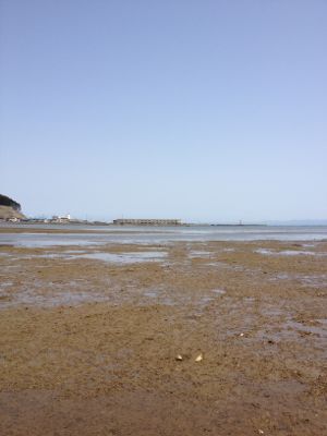 c0234987_6294167.jpg